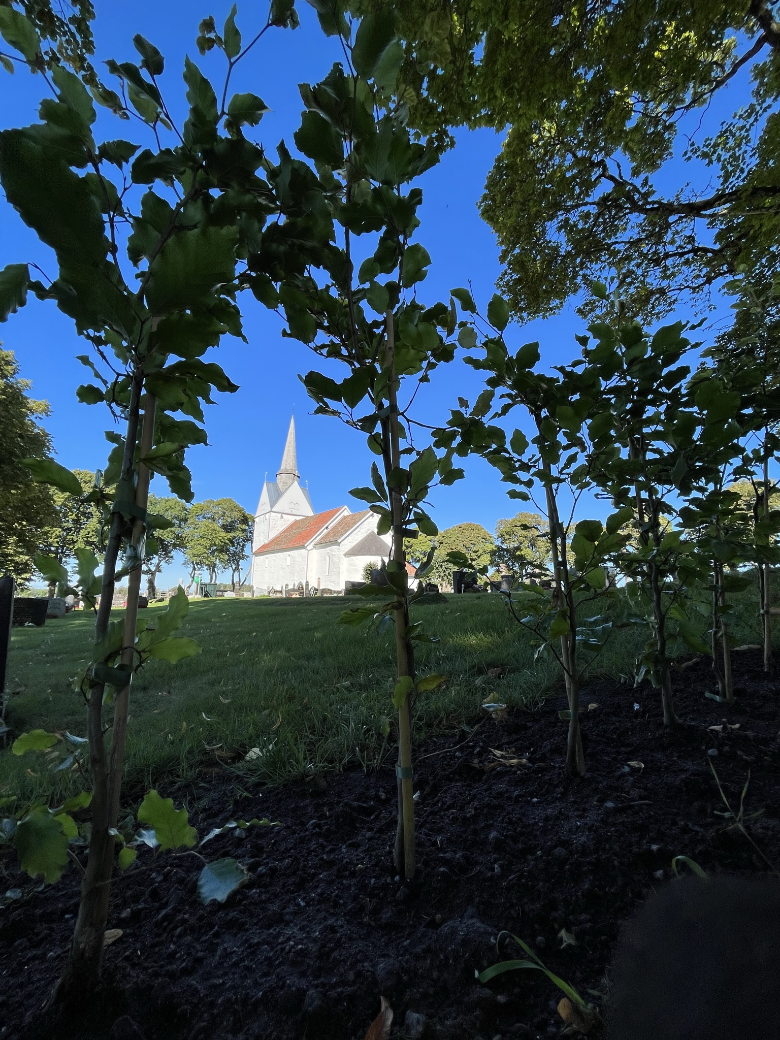 Bilde av Råde kirke, tatt gjennom . Bilde av ansatte på dugnad med rake, foran gravemaskin med Råde kirke i bakgrunnen.